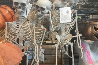 Halloween w sierpniu. Producenci nie tracą czasu!