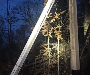 Groźne wichury na Warmii i Mazurach. Drzewo spadło na jadące auto, jedna osoba ranna