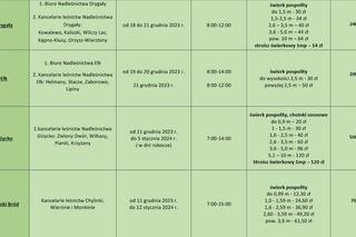 Ceny choinek w nadleśnictwach RLDP w Białymstoku