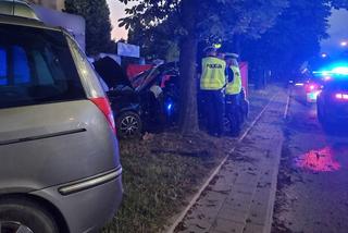 Tragiczny wypadek w Łodzi. Chciała wyprzedzić, zabiła się na drzewie [FOTO]