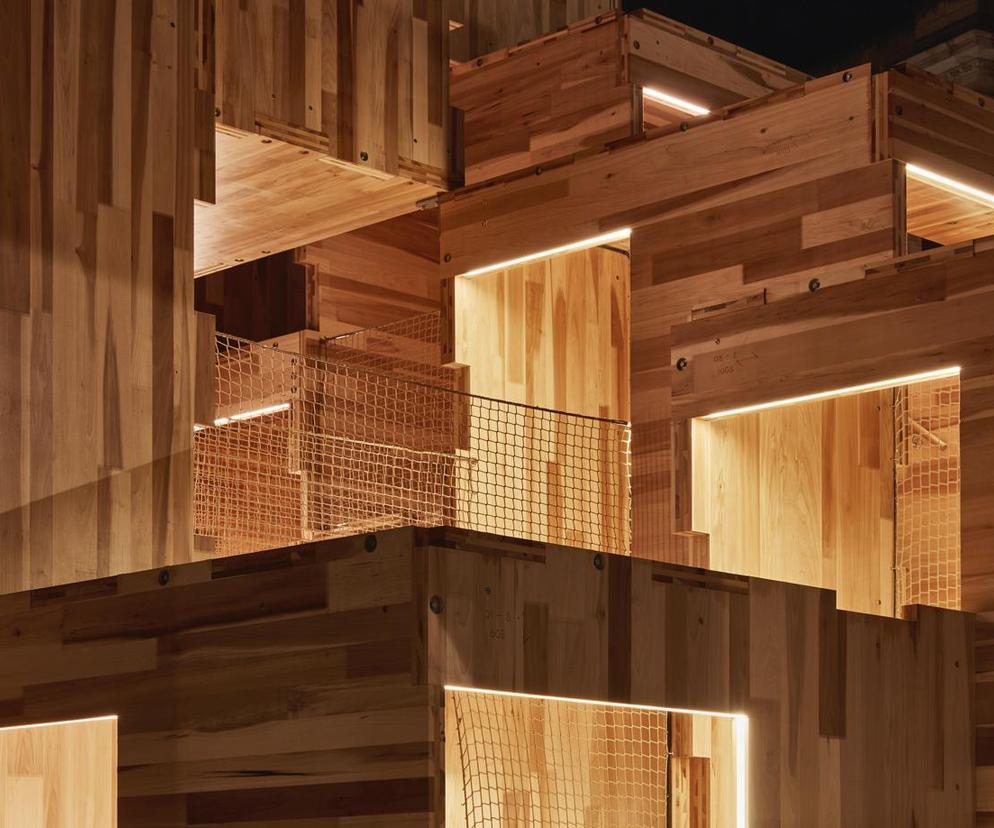 Zalety wykorzystania drewna w architekturze: webinar
