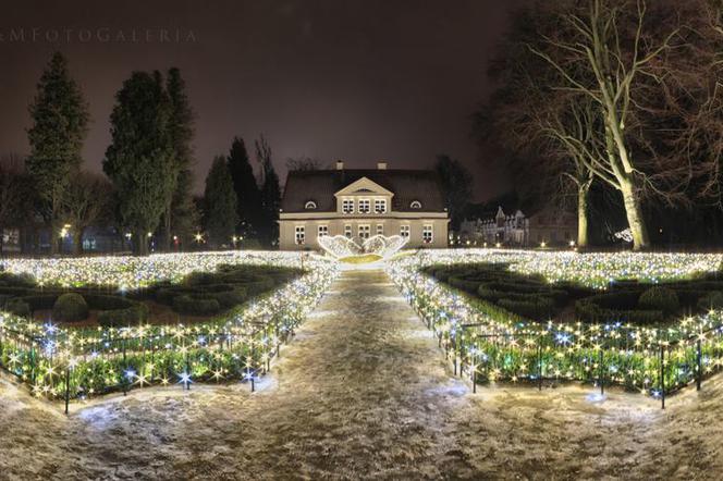 Wyjątkowe ujęcia Gdańska.