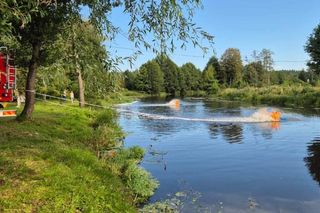 Działania służb wojewody na rzece Wkrze