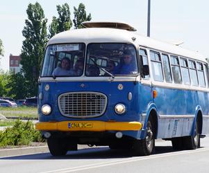 Zlot zabytkowych autobusów 2022 w Bydgoszczy [ZDJĘCIA] 