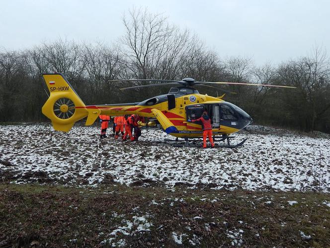 Tragedia podczas wycinki drzew w powiecie radziejowskim! Nie żyje jeden mężczyzna! [ZDJĘCIA]