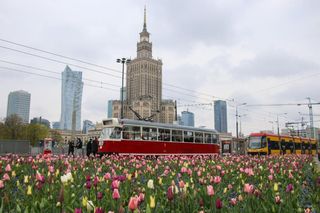 Warszawskie Linie Turystyczne