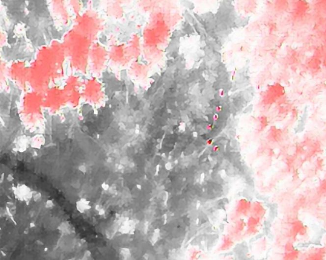 Dramatyczna akcja w Tatrach! Szukali go całą noc, a on? Prawda zaskakuje!