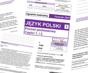 Matura 2025: język polski podstawowy. ARKUSZE CKE i odpowiedzi online