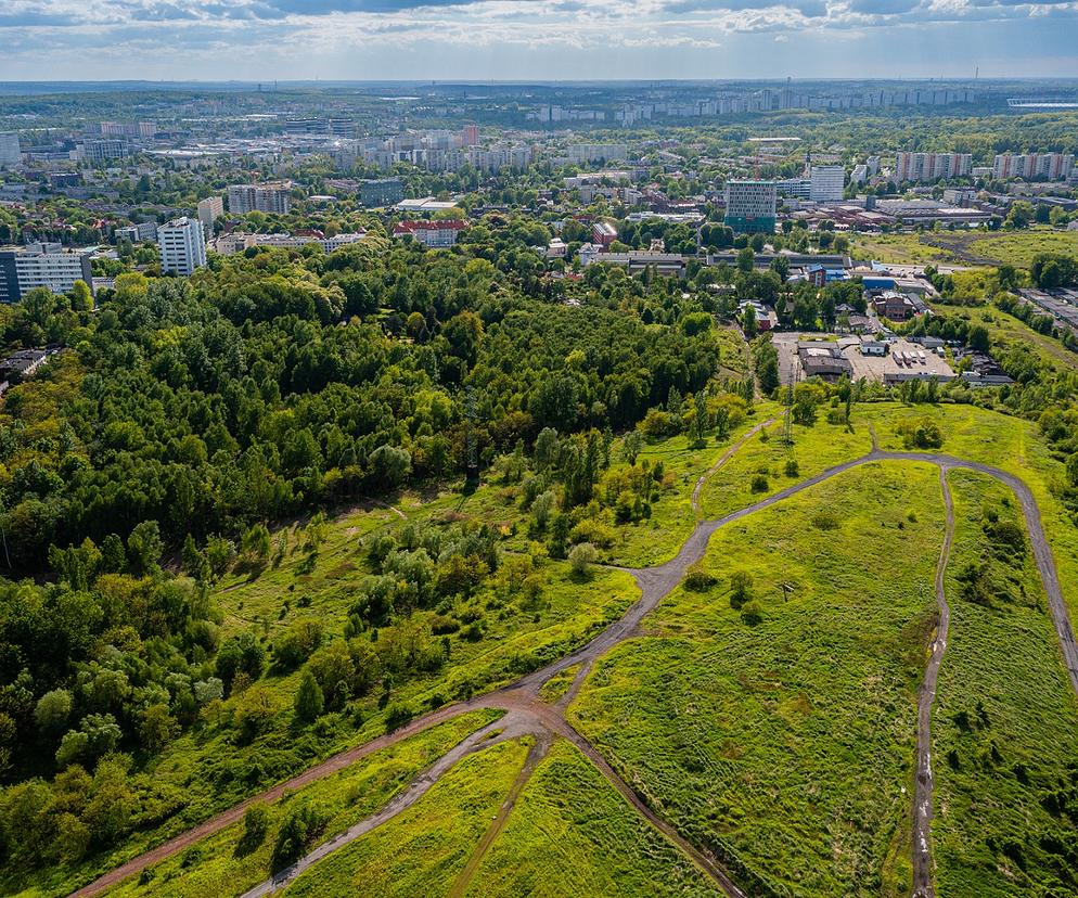 Park Wełnowiecki