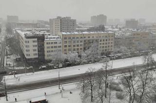 Śnieżyca w Warszawie