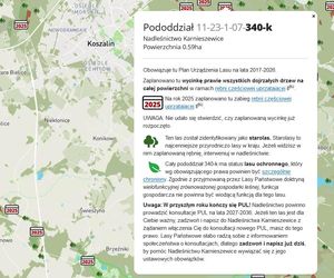 Mapa wycinki lasów 2025 - woj. zachodniopomorskie