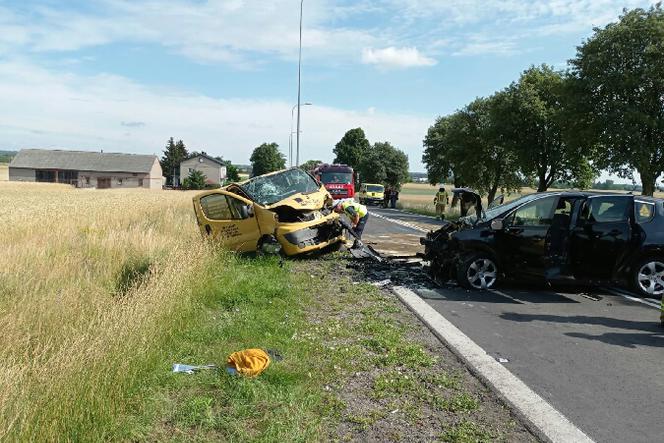 Dziecko zginęło w wypadku pod Turkiem! Dramatyczne szczegóły