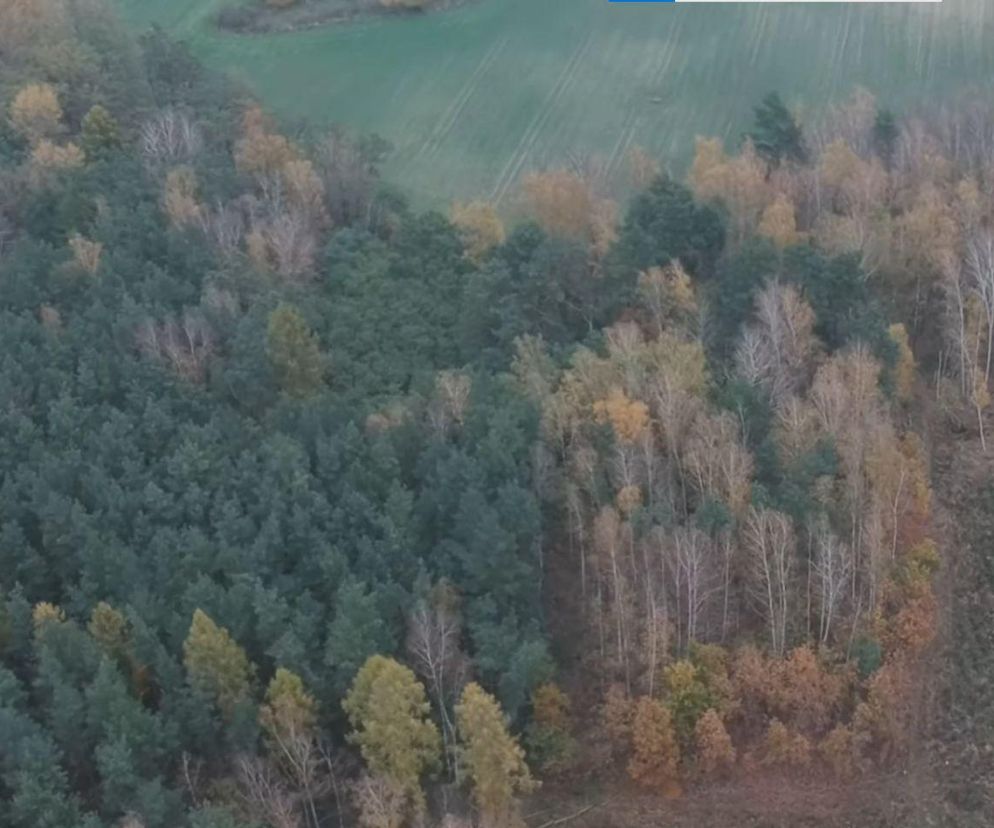 Góry Kozackie w Kujawsko-Pomorskiem. Tu poczujemy się jak w Bieszczadach. Krajobraz jest tuż przy drodze wojewódzkiej 