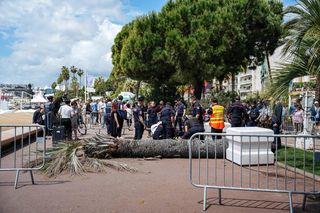 Dramat na festiwalu w Cannes! Producent uderzony przez palmę trafił do szpitala 