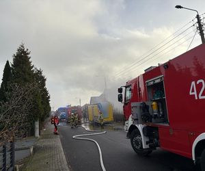 Potężny wybuch wstrząsnął spokojną ulicą Kwiatową w Chełmnie. Rodzice próbowali ratować syna