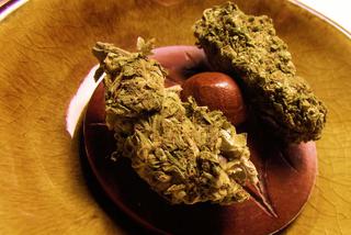 Marihuana lekiem nie tylko na padaczkę? Kolejne sukcesy lubelskich naukowców [AUDIO]