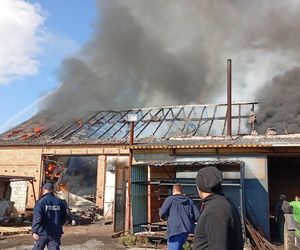 Trwa zbiórka na odbudowę zakładu w Czeluścinie. Przyczyna pożaru? 