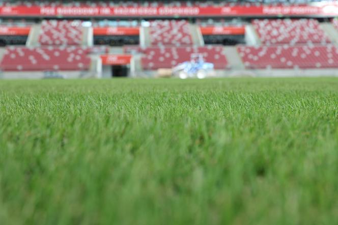 Rozkładanie murawy na Stadionie Narodowym