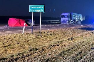 Sieroniowice. Trzy osoby zginęły w wypadku na DK88. Tragedia pod Strzelcami Opolskimi [ZDJĘCIA]