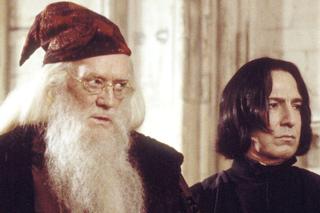 Harry Potter QUIZ. Jak dobrze znasz profesorów Hogwartu? 