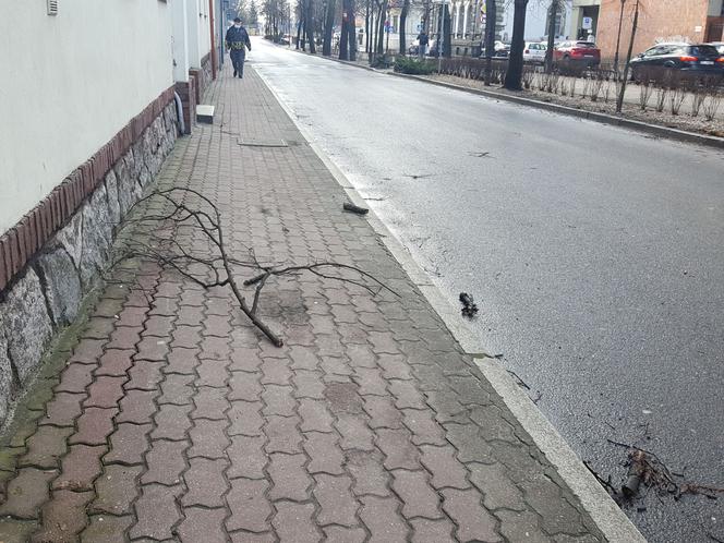 Wichura znów narobiła szkód w Lesznie i powiecie