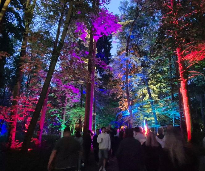 Olsztyn zamienił się w magiczną krainę. Park Świateł przyciągnął tłumy!
