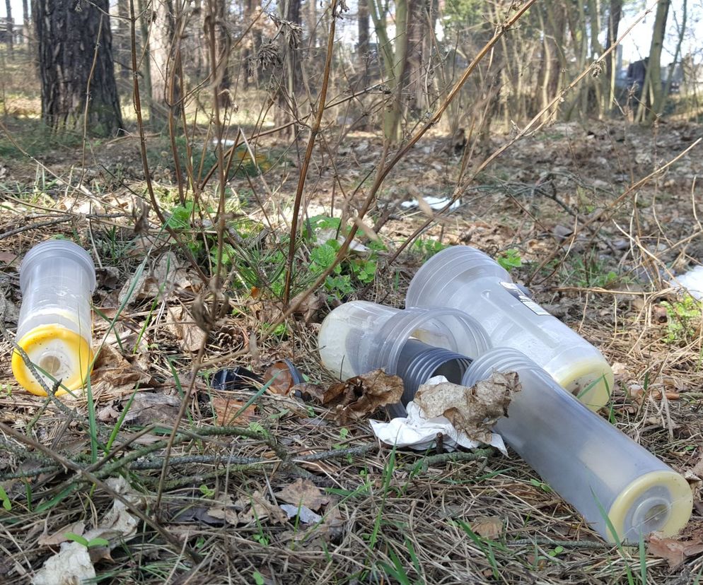 śmieci w lesie