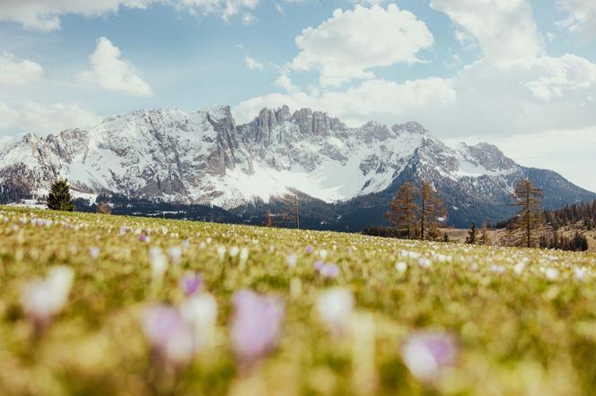 Południowy Tyrol