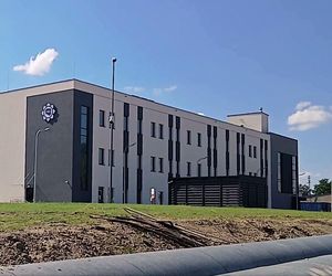 Nowy mural na Pogodnie