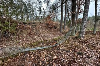 Ranna kobieta w lesie. Kula trafiła 53-latkę w głowę. W pobliżu ćwiczyli policjanci