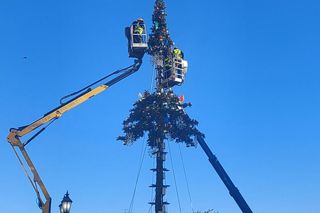 Montaż choinki w Rzeszowie [ZDJĘCIA]