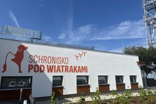 Nowe schronisko w Ostrowie