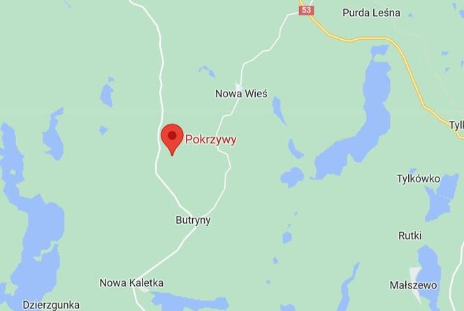 Pokrzywy