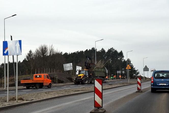 Rozbudowa ul. Grunwaldzkiej. Będą nowe drzewa i krzewy