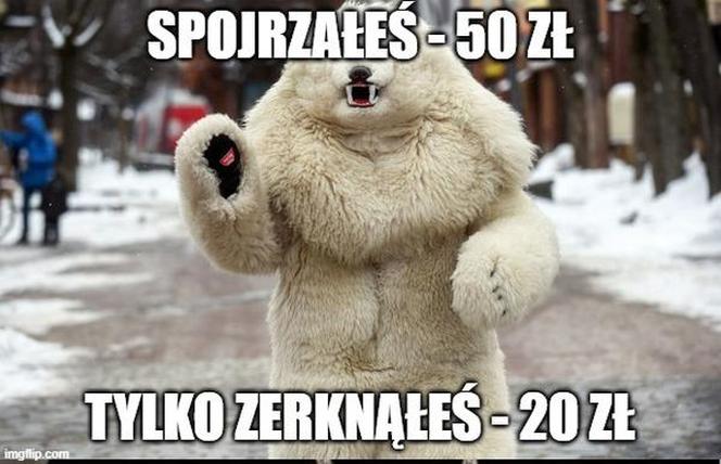 Najlepsze memy z białym misiem z Krupówek!