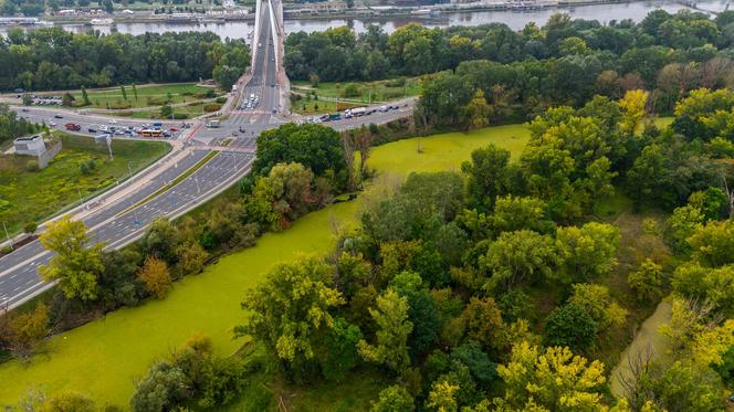 Port Praski - widok z drona, wrzesień 2024