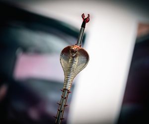 Sosnowiec Fun Festival 2025: Drugi dzień: Bryska, Smolasty, Żabson na scenie