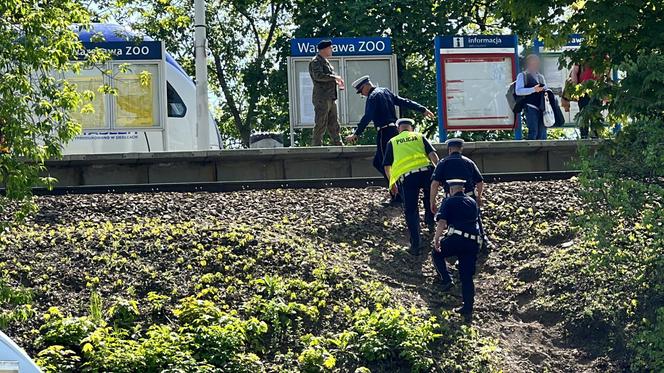 Rowerzysta potrącony przez pociąg Intercity. Zginął na miejscu. Dramat na stacji Warszawa ZOO