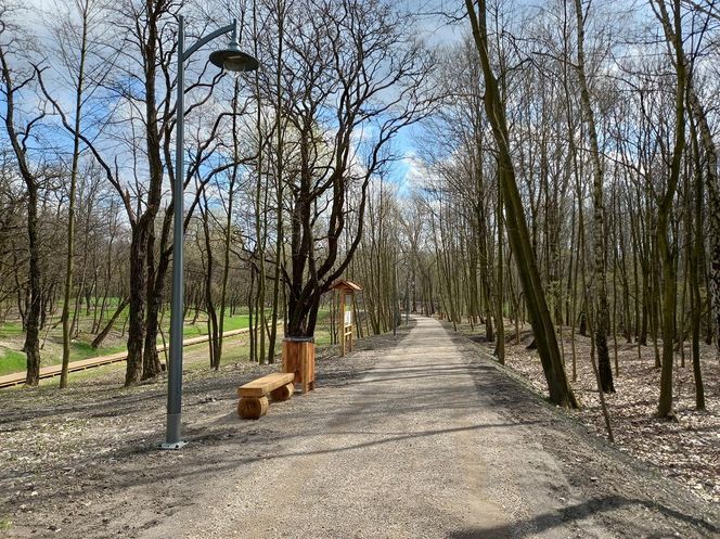 Rów Kalny w Sosnowcu znajduje się w Parku Tysiąclecia
