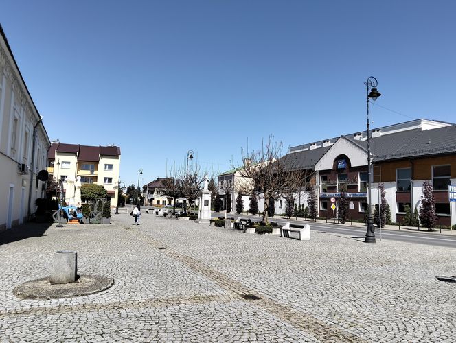 5. Sieniawa