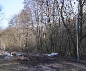 Powstaje park linowy w Białymstoku! To nowa inwestycja na plaży Dojlidy