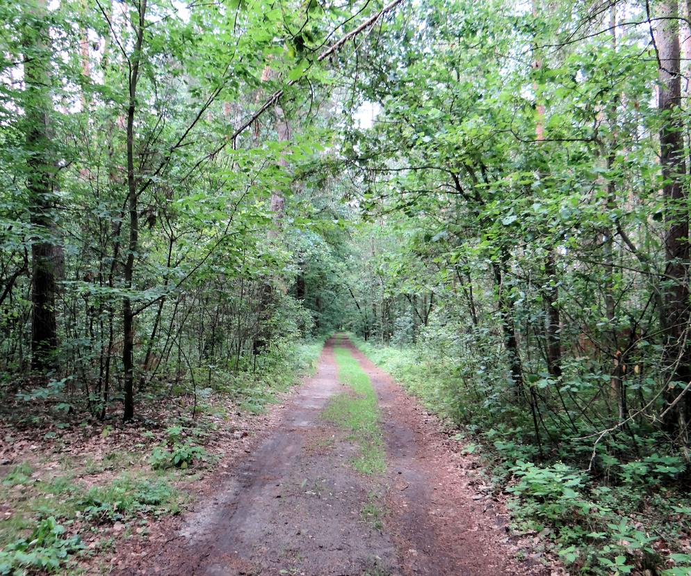 Bolimowski Park Krajobrazowy