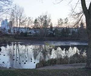 Tu powstanie kolejne miejske do rekreacji w Białymstoku. Tak obecnie wygląda staw przy Bema