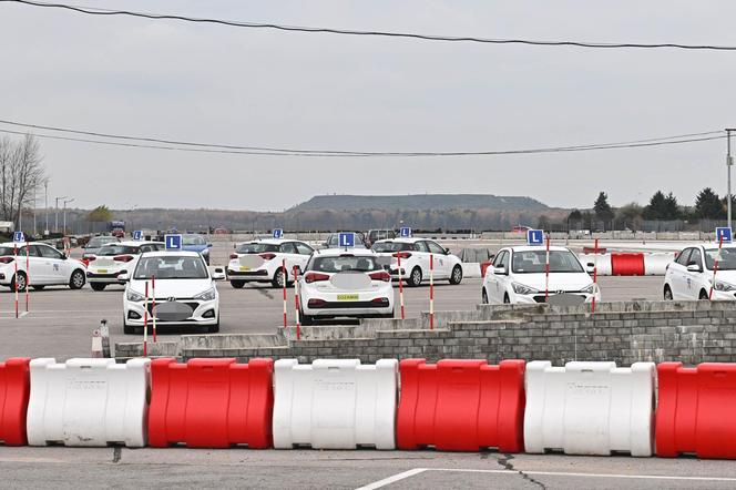 Egzamin na prawko jak droga przez mękę. WORD przy Radarowej zamknięty, pozostałe zapchane 