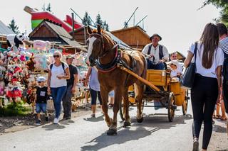 Przewoźnicy z Zakopanego bezlitośni dla ekologów. Mówią o zamachu