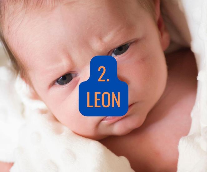 2. Leon