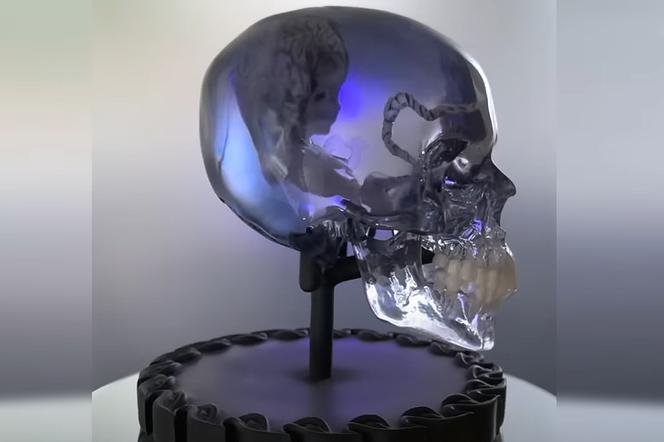 Tool sprzedaje limitowane czaszki. Nawet fani nie bardzo wiedzą czemu