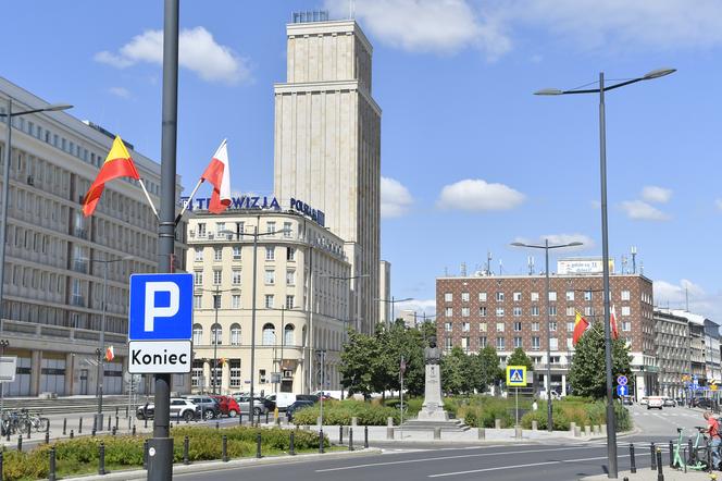 "Parkowanie w Warszawie to makabra!" Lipy opóźniają budowę parkingu podziemnego