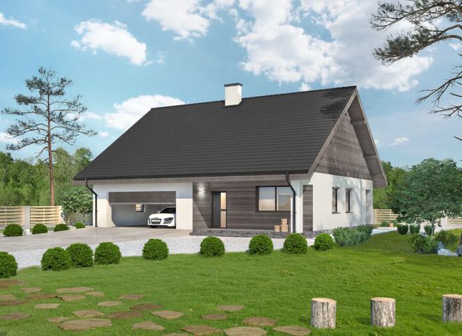 Projekt domu Miarodajny C333c