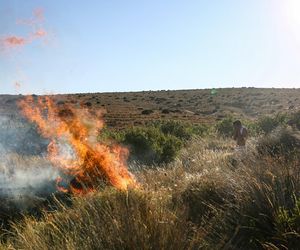 Szok w Turcji! 50 stopni Celsjusza, ostrzeżenie dla Polaków